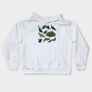 Peacock Collection Kids Hoodie